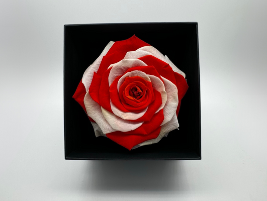 England Flag 10cm Infinity Rose-Round Collection